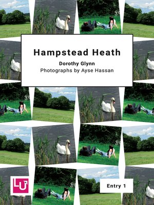 cover image of Hampstead heath